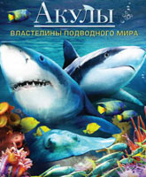 Sharks 3D: Kings of the Ocean /  3D:   
